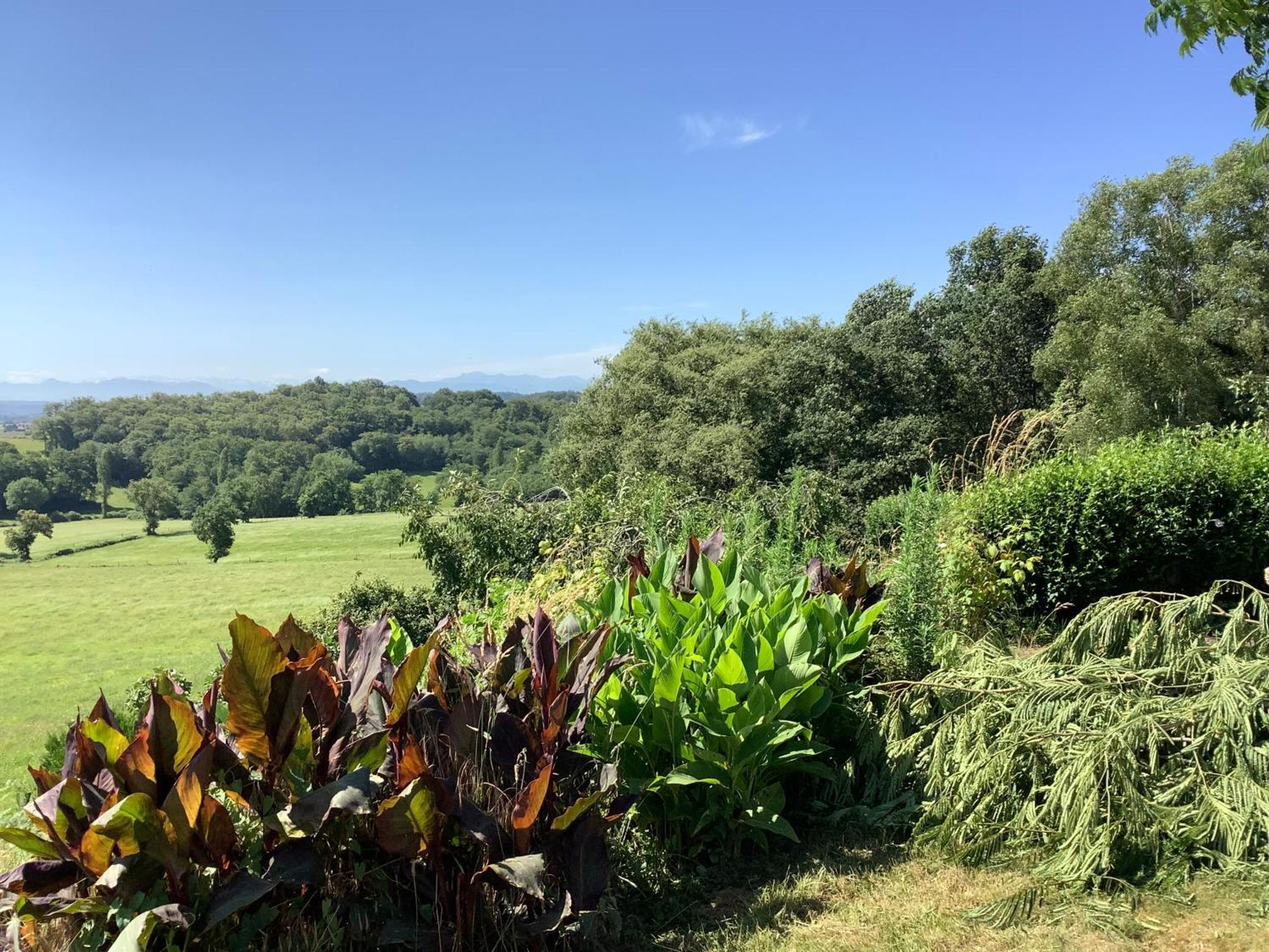 Le Petit Jardin Villa Estampes Exterior photo